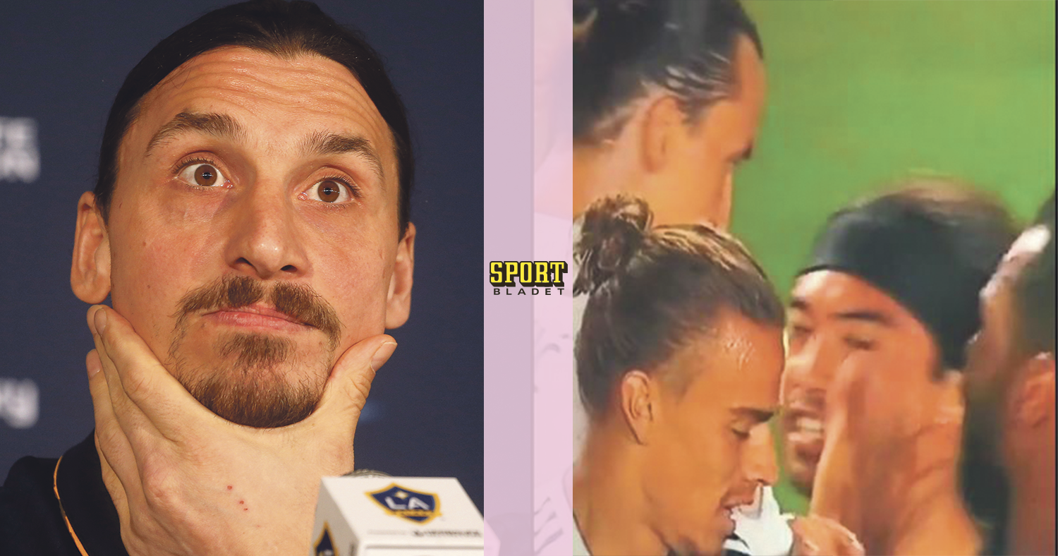 Zlatan Ibrahimovic: Zlatan straffas av ligan för slaget