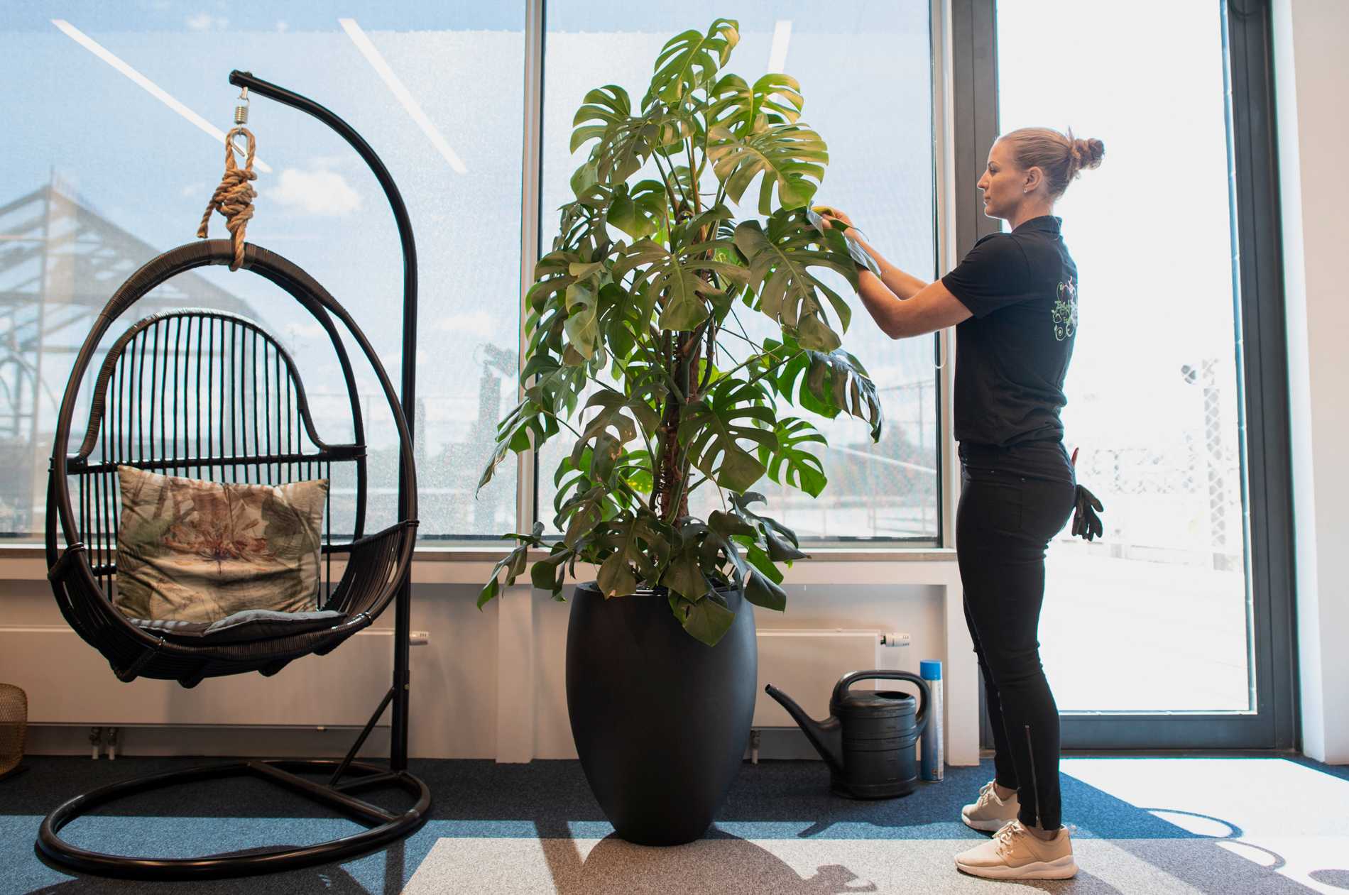 Växter prunkar på coronaödsliga kontor