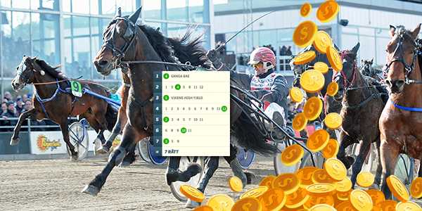 80 miljoner i potten – bästa V75-skrällarna