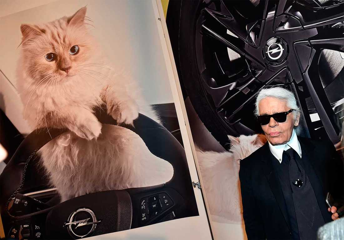 Karl Lagerfeld poserar vid en bild på sin älskade Choupette.