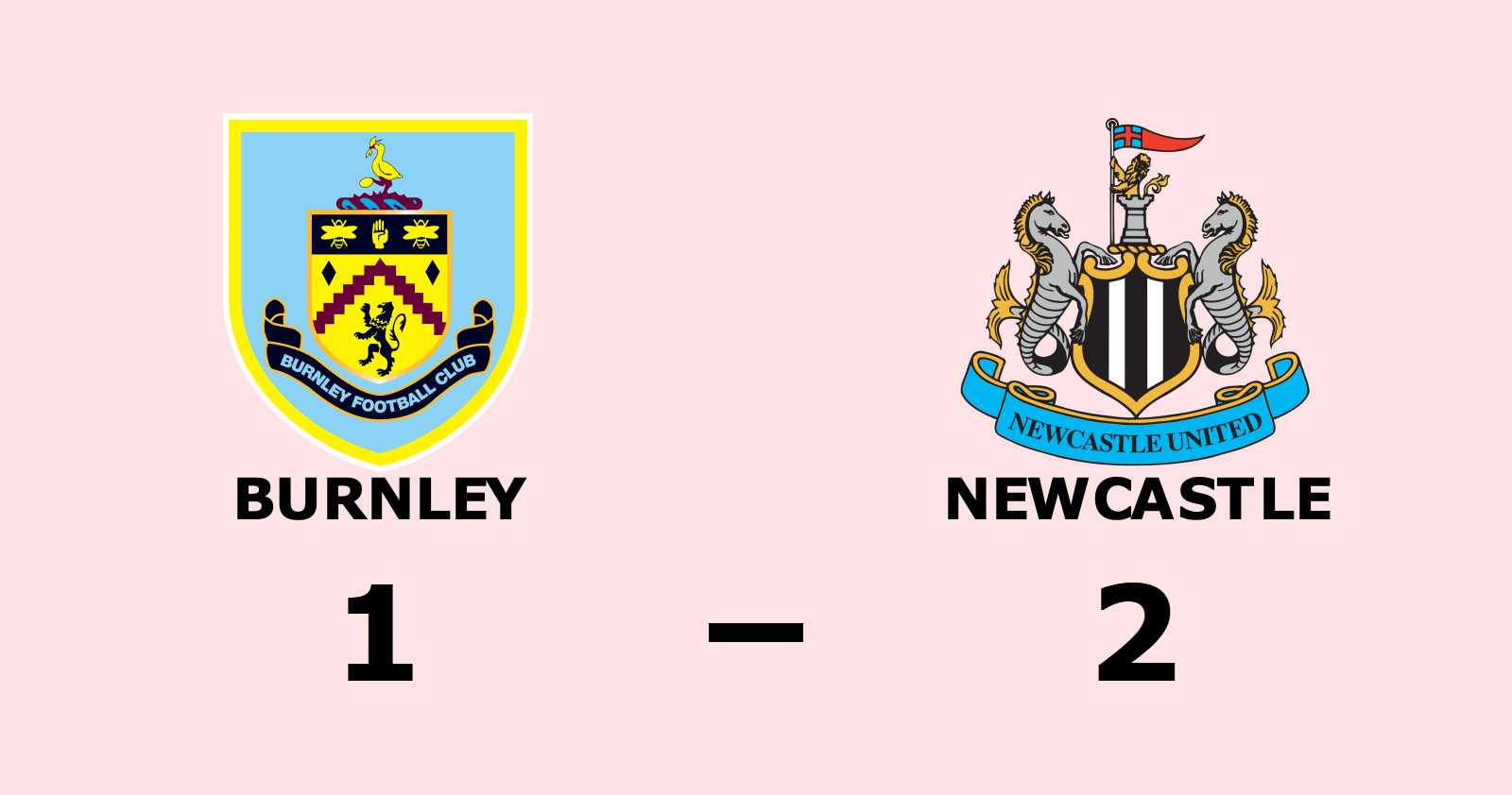Newcastle vann efter sju matcher i rad utan seger
