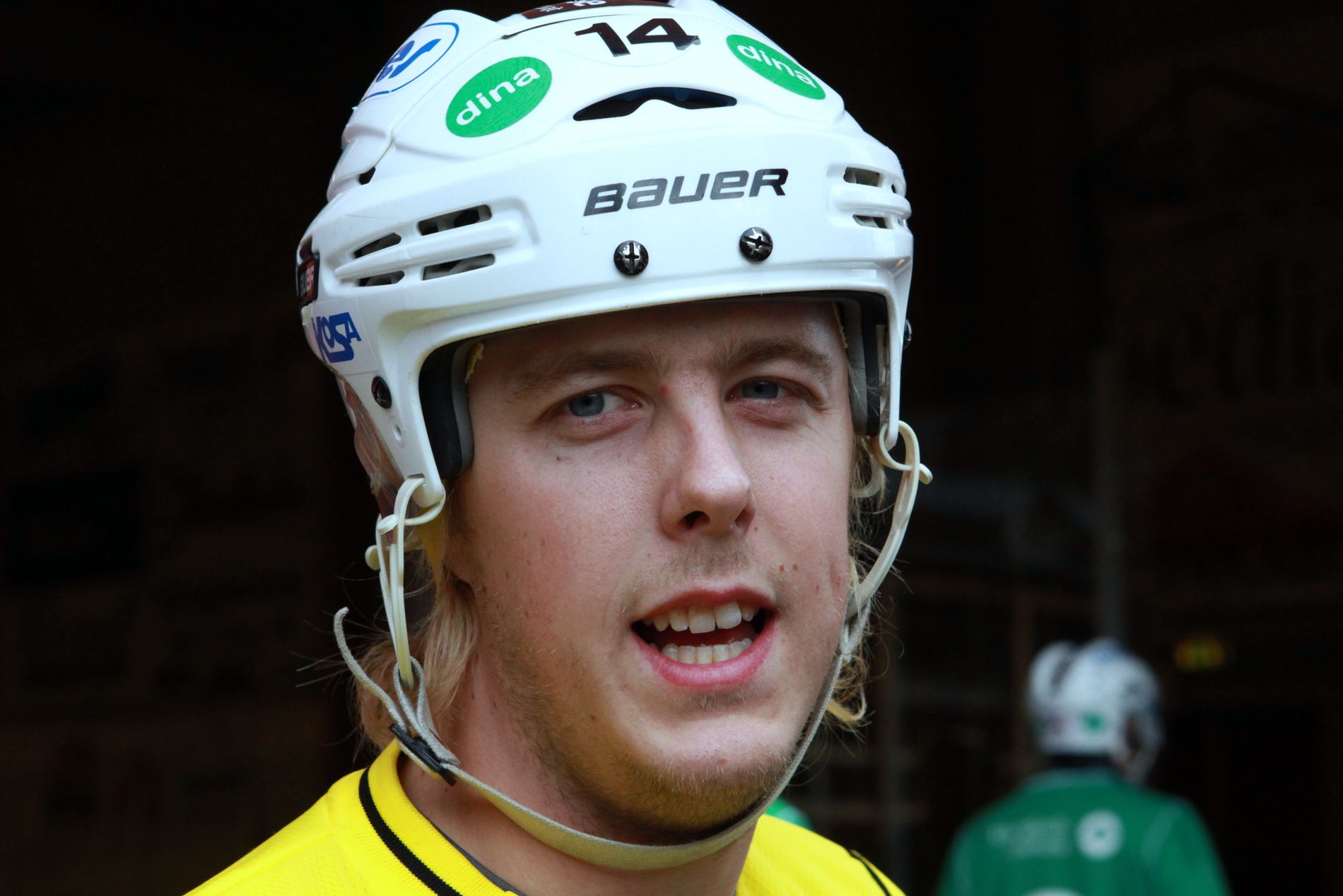 ljusdals bandy ljusdals bandy